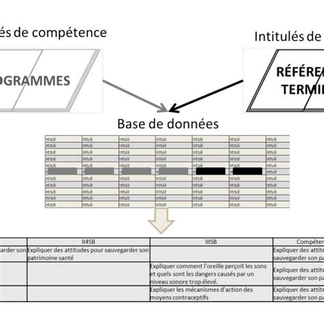 Schéma simplifié de l organisation du système éducatif en réseaux au