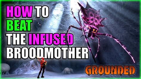 Best Tips To Defeat Infused Broodmother Ng Grounded Fully Yoked