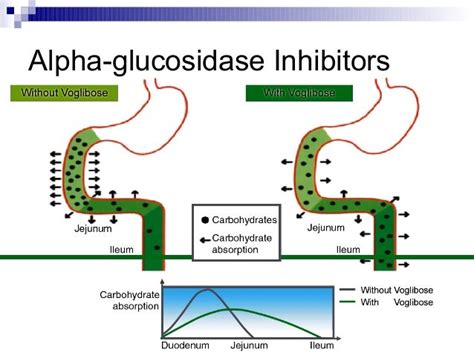 Voglibose