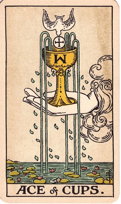 Ace Of Cups Tarot Card Meaning House Of The True Heart Joy