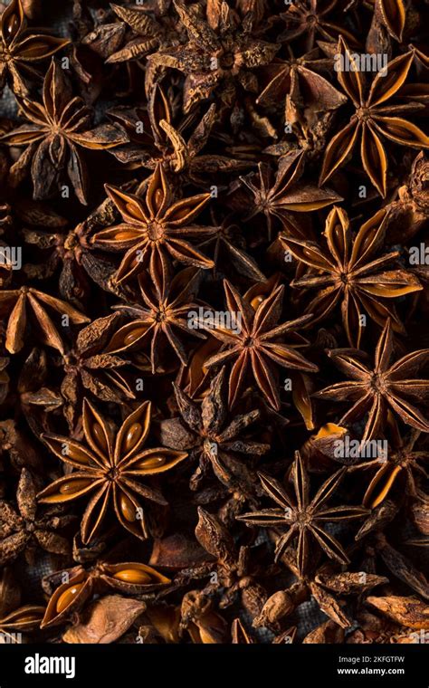 Raw Brown Organic Star Anise Spice In A Bunch Stock Photo Alamy