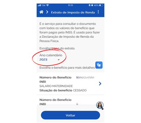 Como Consultar O Extrato Do Imposto De Renda Pelo Meu INSS Declare