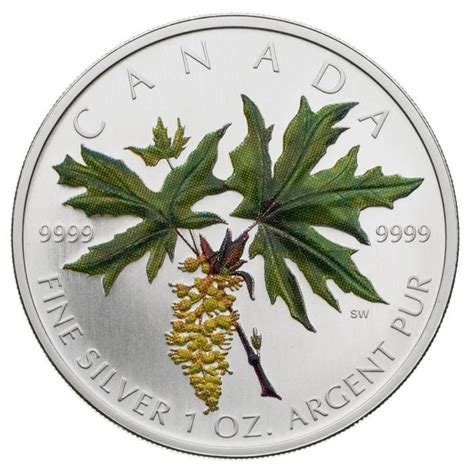 Kanada 5 Dollars 2005 Maple Leaf Bigleaf Maple 1 Oz Catawiki