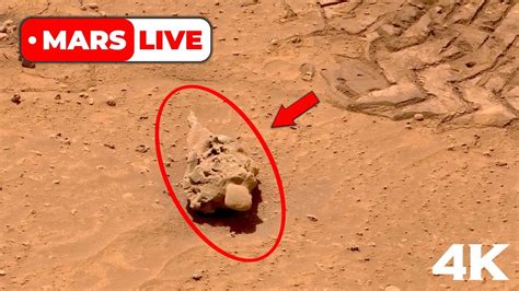 Nasa Mars Rover Sent Super Incredible Footage Of Mars Perseverance And