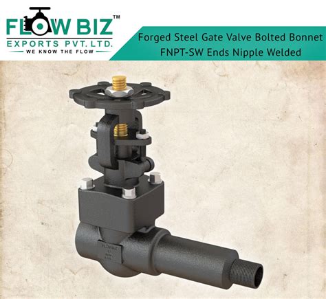 Forged Steel Gate Valve Welded Nipple End At 5500 Forged Steel Gate