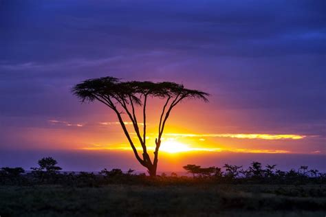 Ecotourism Kenya