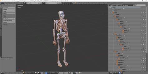 Anatomy - Complete human skeleton 3D Model $39 - .unknown .blend .fbx ...