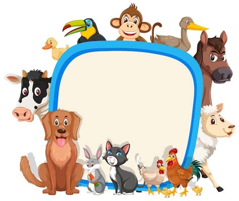 Pets Clipart Border