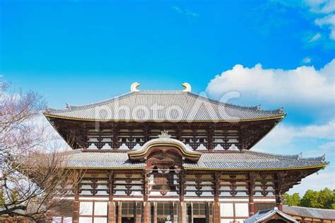 奈良 東大寺 - No: 34278354｜写真素材なら「写真AC」無料（フリー）ダウンロードOK
