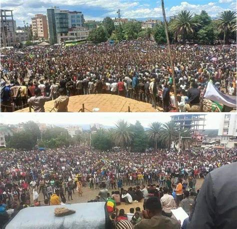 Xotrin On Twitter Info Thousands Of Amharas Protest In Debre Berehan