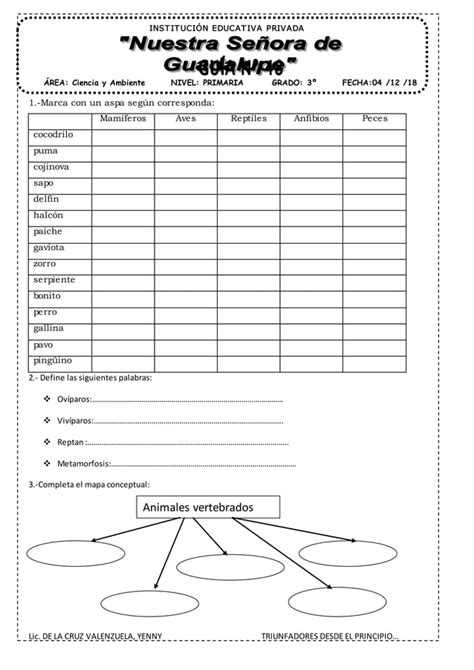 Practica De Clases De Vertebrados Pdf Descarga Gratuita