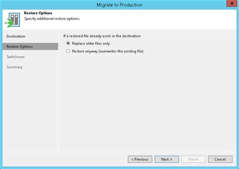 Step Specify Restore Options User Guide For Vmware Vsphere