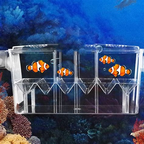 Amazon Fish Breeder Box Fish Tank Acrylic Hatching Incubator