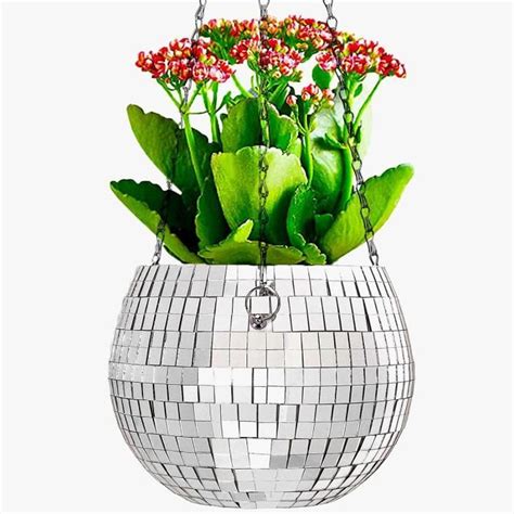 Boule Disco Pot De Fleurs Pour Balcon Plantes D Int Rieur Plantes