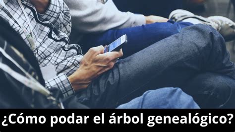 Codeef ¿cómo Podar El árbol Genealógico Youtube