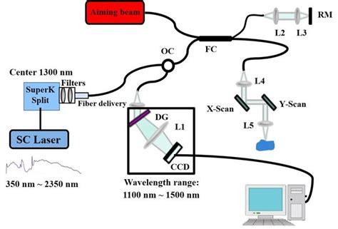 Schematic Of Fibre Based High Resolution Spectral Domain Oct System Sc