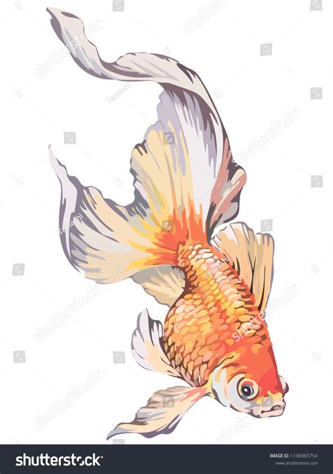 Image Orange Fish Vector Stock Vector (Royalty Free) 1106965754