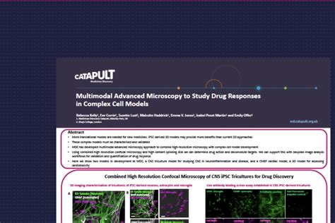 Advanced Microscopy Drug Responses