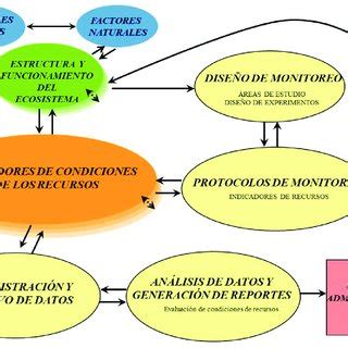 Modelo Conceptual Ecol Gico Que Representa Los Ecosistemas En La