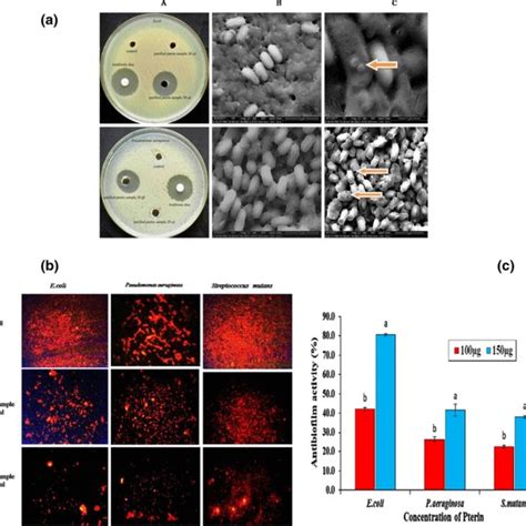 Characterization of purified pterin compound: (a) UV/visible ...