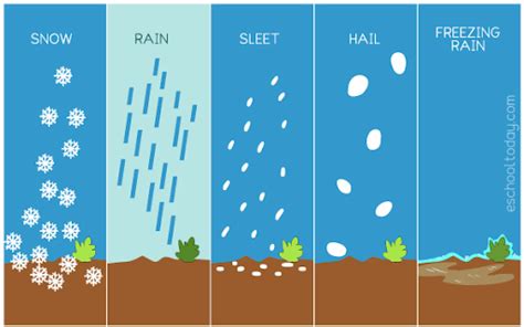 What Are The 5 Types Of Precipitation And How Are They Different