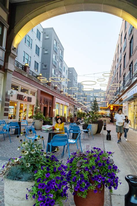 Neighborhood Guide: Where to Eat, Shop, and Play in Bethesda