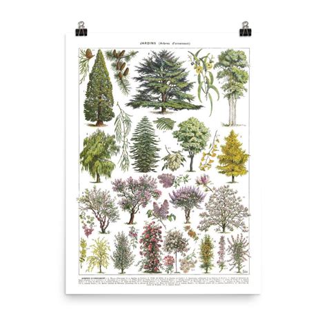 Large Arboretum Poster Garden Tree Wall Art Botanical Print Etsy