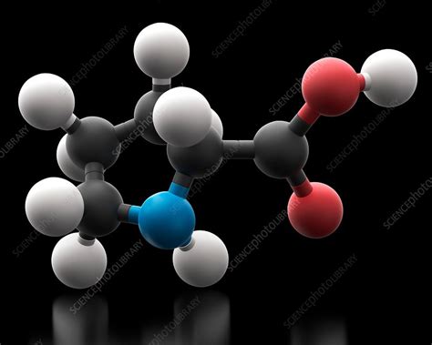 Proline Amino Acid Molecule Stock Image C Science Photo