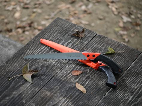 Pruning Saw Expert