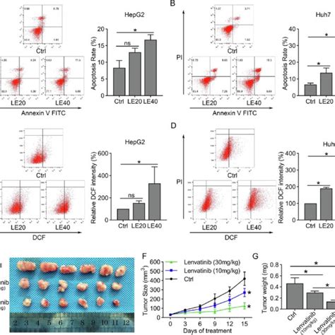 Lenvatinib Induced ROS Related Apoptosis And Inhibited Tumor Growth In