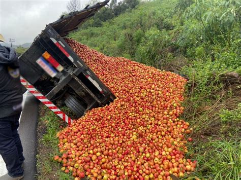 Caminhão carregado maçãs tomba na ERS 122 em Flores da Cunha