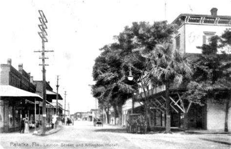 Photonegative of a postcard. | Palatka florida, Palatka, Old florida