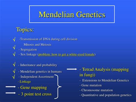 Ppt Download Lab Handouts Powerpoint Presentation Free Download Id746626