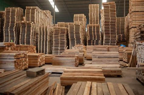 Memilih Kayu Pallet Berkualitas Cv Bintang Perdana