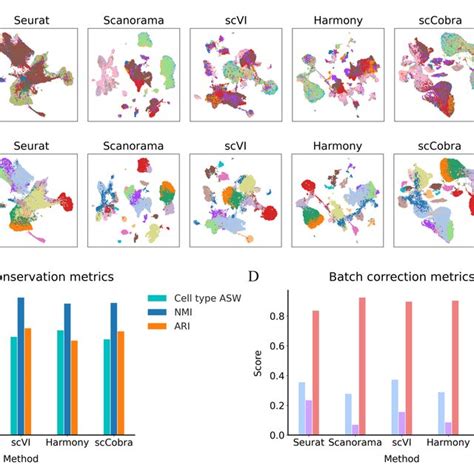 Sccobra Performs Well In Integrating A Complex Single Cell Dataset A Download Scientific