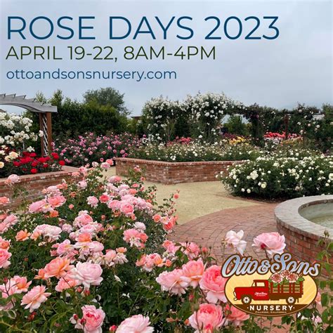 Rose Days 2023 - Otto & Sons Nursery