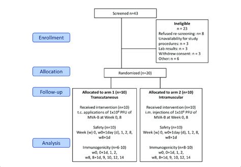 Flow Chart Of The Successive Steps Of The Mva B Vaccine Randomized