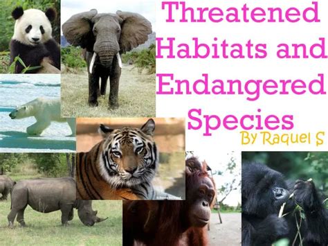 PPT - Threatened Habitats and Endangered Species PowerPoint ...