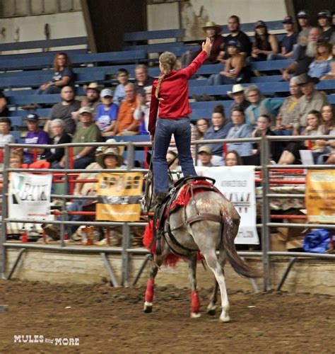 2022 Missouri Mule Makeover Youth Contestants — Mules and More Magazine