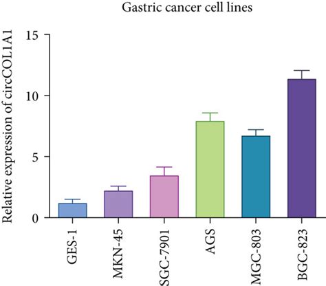 Characterization Of CircCOL1A1 In Gastric Cancer A PCR Was Performed