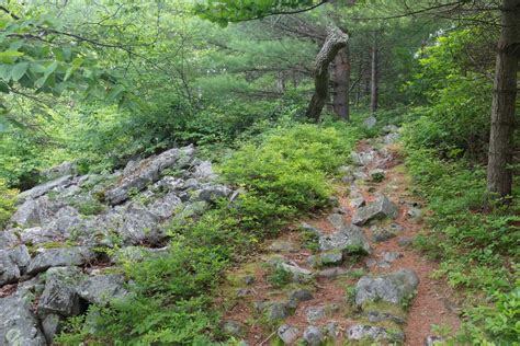 How to Get to Indian Wells Overlook in Rothrock State Forest ...