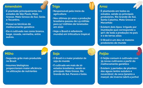 Brasil Se Destaca Na Agricultura Por Intermédio Das Políticas Públicas