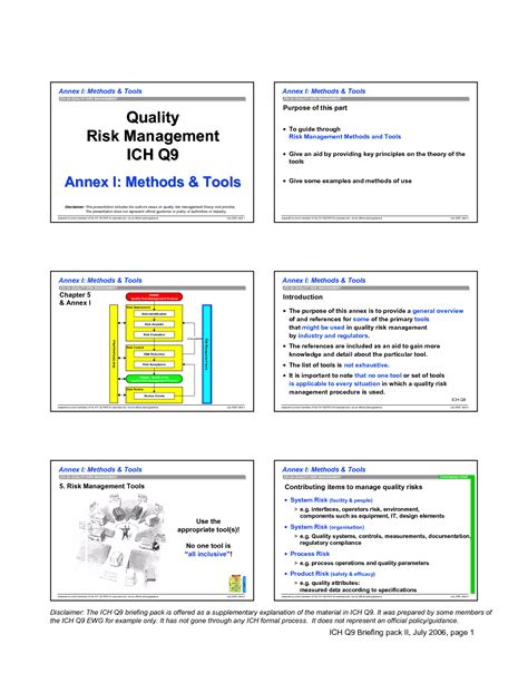 Solution Risk Management Class Lectures 241026189 Tools Applications