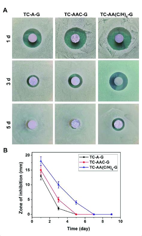 The Zone Of Inhibition ZOI Of Multilayer Membrane Modified TCs