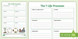 What are the 7 Life Processes? | Twinkl Teaching Wiki