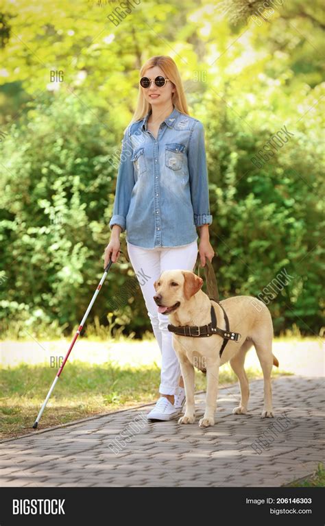 Guide Dog Helping Image And Photo Free Trial Bigstock