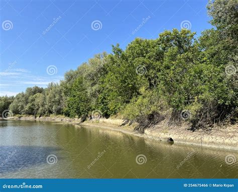 See Veliki Sakadas And Floodplain Forest Kopacki Rit Nature Park