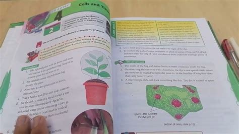 Biology Practical Copy Class 9 And 10federal Board Youtube