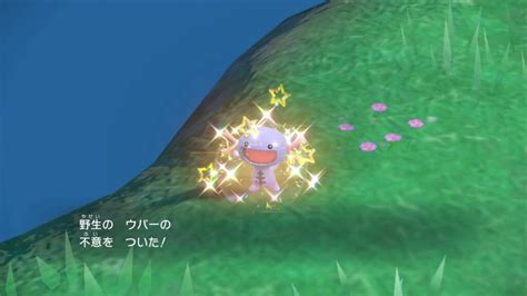 【ポケモンsv】色違いってフィールドでlの注視で見た時に、色違いアイコン付いてたりする？｜ぽちぽちゲーム速報