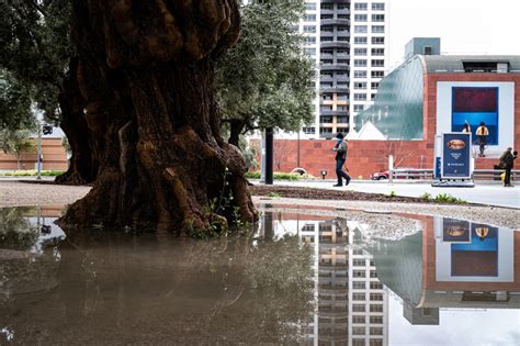 Rainfall total in downtown Los Angeles tops a record set in 1958 ...